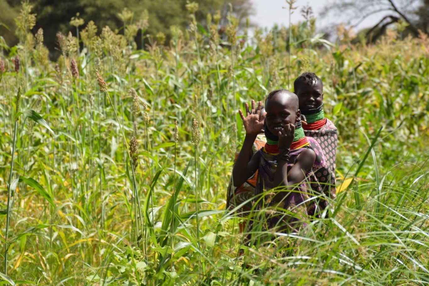 New Agriculture Policy 2025 Aims to Transform Turkana into a Food-Sufficient County